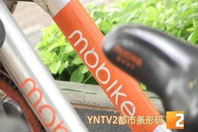 昆明共享單車管理升級 違停摩拜將罰款，ofo小黃車批量封存